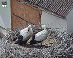 Capi_Dubne_20260705_152502.jpg