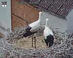 Capi_Dubne_20260705_154503.jpg