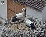 Capi_Dubne_20260705_155003.jpg