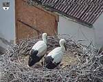 Capi_Dubne_20260705_160502.jpg