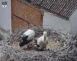 Capi_Dubne_20260705_161503.jpg
