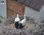 Capi_Dubne_20260705_162503.jpg