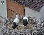 Capi_Dubne_20260705_164003.jpg