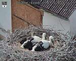 Capi_Dubne_20260705_165503.jpg