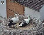 Capi_Dubne_20260705_171002.jpg