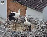Capi_Dubne_20260705_172003.jpg
