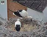 Capi_Dubne_20260705_172503.jpg
