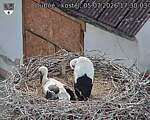 Capi_Dubne_20260705_173003.jpg