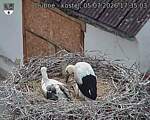 Capi_Dubne_20260705_173503.jpg