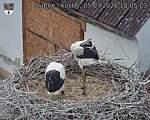 Capi_Dubne_20260705_180503.jpg