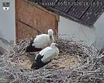Capi_Dubne_20260705_181003.jpg
