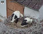 Capi_Dubne_20260705_192003.jpg