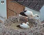 Capi_Dubne_20260705_203503.jpg