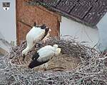Capi_Dubne_20260705_210004.jpg