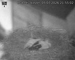 Capi_Dubne_20260705_215502.jpg