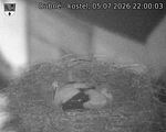 Capi_Dubne_20260705_220003.jpg