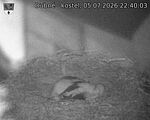 Capi_Dubne_20260705_224003.jpg