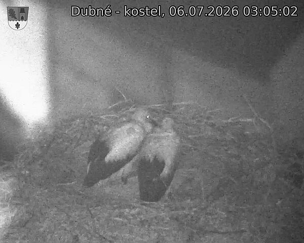 preload