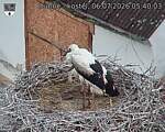 Capi_Dubne_20260706_054003.jpg