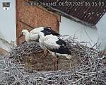 Capi_Dubne_20260706_063503.jpg