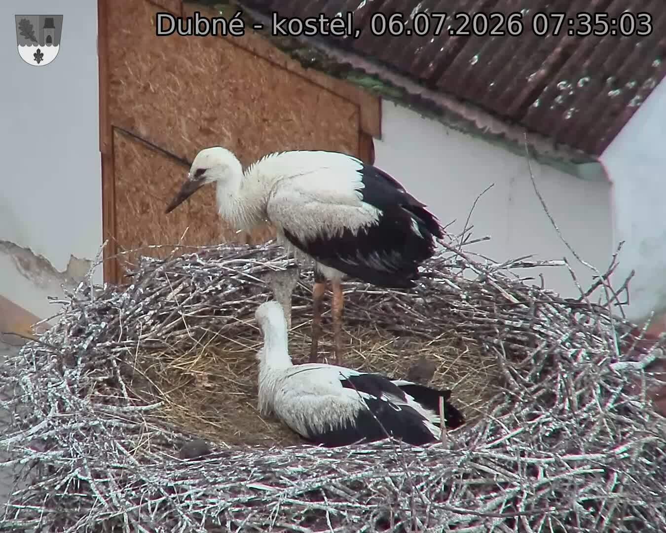 preload