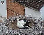 Capi_Dubne_20260706_074003.jpg