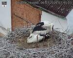 Capi_Dubne_20260706_074503.jpg