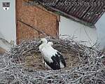 Capi_Dubne_20260706_092003.jpg