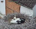 Capi_Dubne_20260706_093003.jpg