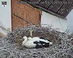 Capi_Dubne_20260706_094003.jpg