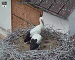 Capi_Dubne_20260706_122003.jpg