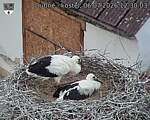 Capi_Dubne_20260706_123003.jpg