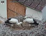 Capi_Dubne_20260706_125003.jpg