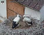 Capi_Dubne_20260706_132003.jpg