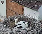 Capi_Dubne_20260706_133503.jpg