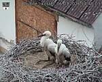 Capi_Dubne_20260706_144003.jpg