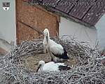 Capi_Dubne_20260706_150003.jpg