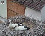 Capi_Dubne_20260706_150503.jpg