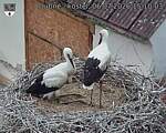 Capi_Dubne_20260706_151003.jpg