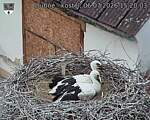 Capi_Dubne_20260706_152003.jpg