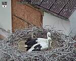 Capi_Dubne_20260706_152503.jpg