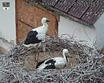 Capi_Dubne_20260706_153003.jpg