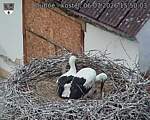 Capi_Dubne_20260706_155003.jpg