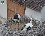Capi_Dubne_20260706_161003.jpg