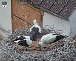 Capi_Dubne_20260706_161503.jpg