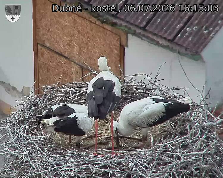 preload