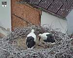 Capi_Dubne_20260706_163503.jpg