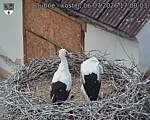 Capi_Dubne_20260706_170003.jpg