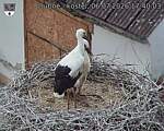 Capi_Dubne_20260706_174003.jpg