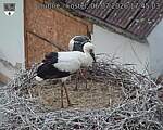 Capi_Dubne_20260706_174503.jpg